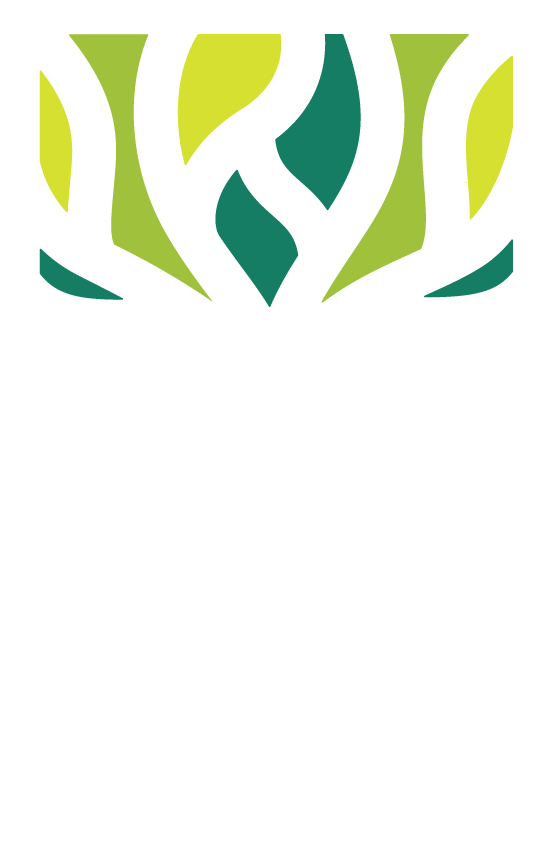 Go to Foundation for Central Schools home